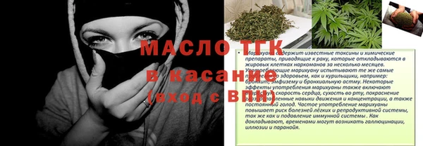 сатива Беломорск