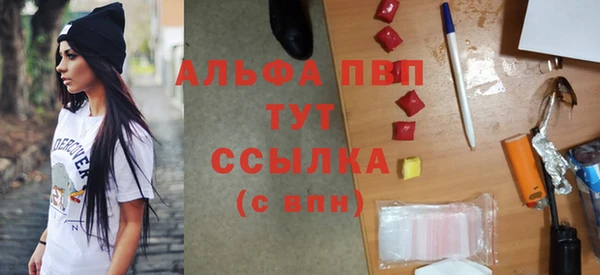 сатива Беломорск