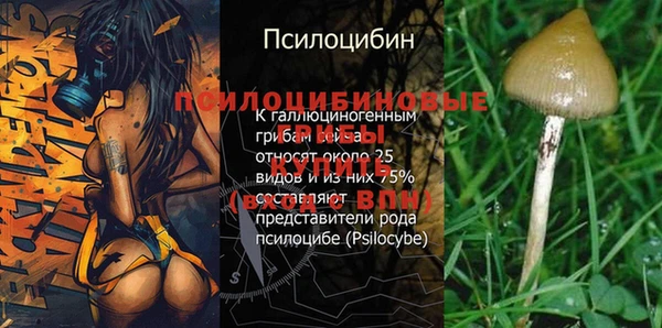 герыч Белокуриха