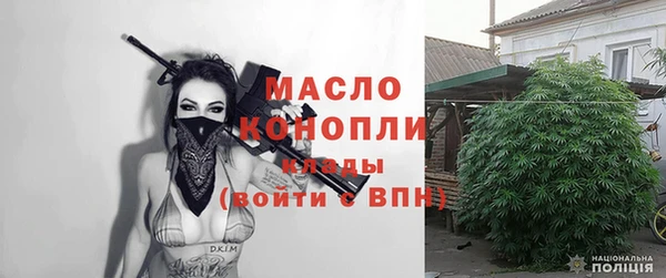 сатива Беломорск