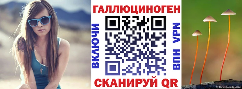 Галлюциногенные грибы Psilocybine cubensis  ссылка на мегу онион  Шенкурск 